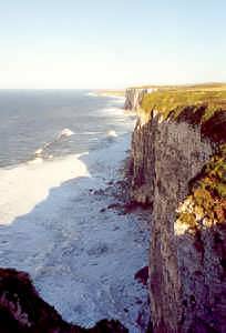 Bempton Cliffs, looking towards Flamborough Head, Yorkshire