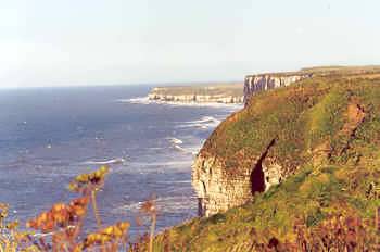 Bempton Cliffs, looking towards Flamborough Head, Yorkshire