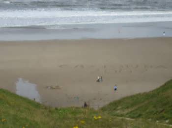 Cayton Bay