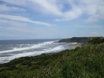 Cayton Bay