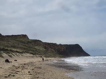 Skinningrove