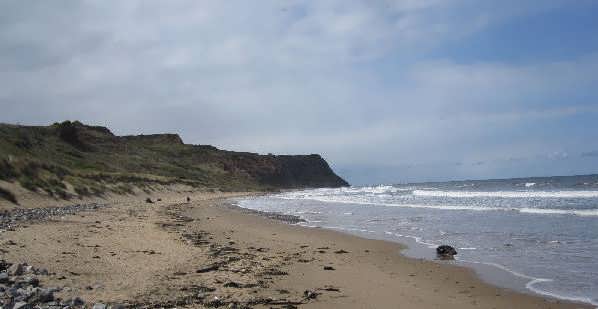 Skinningrove