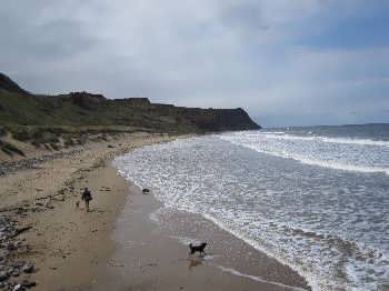 Skinningrove