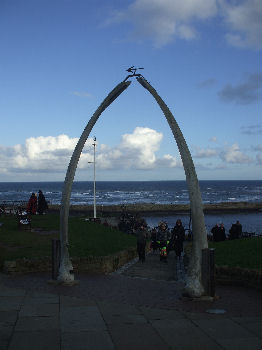 Whitby Whalebone